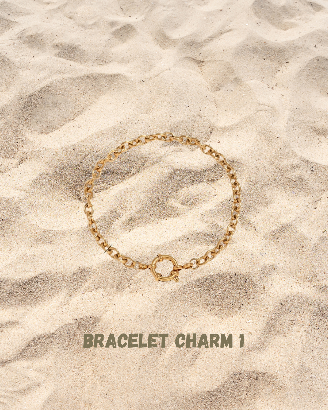 « Bracelet Charm 1 » 17cm