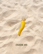 « Charms - Suite »