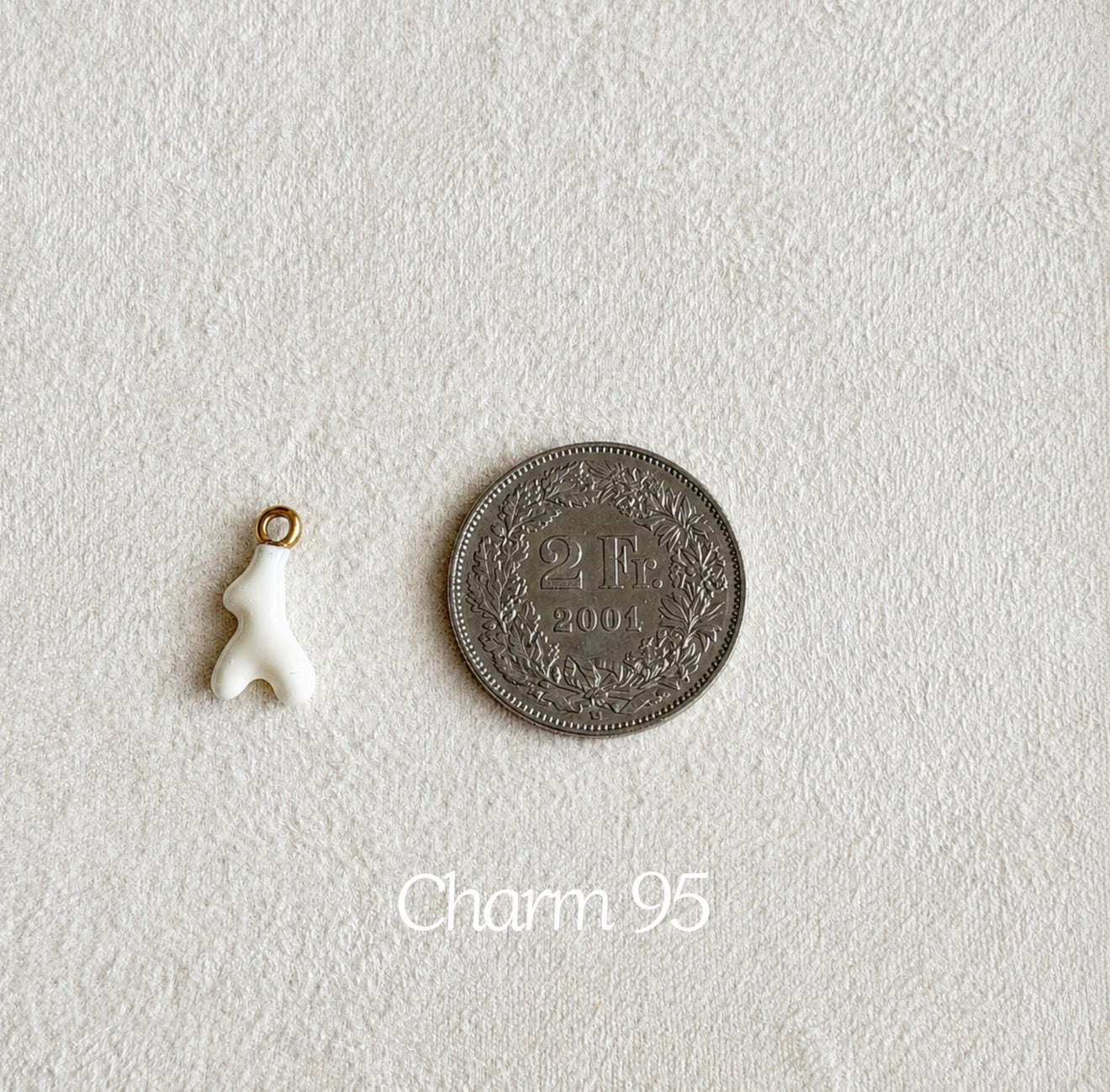 Nos charms
