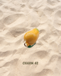 « Charms »