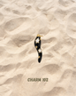 « Charms - Suite »