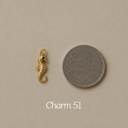 Nos charms