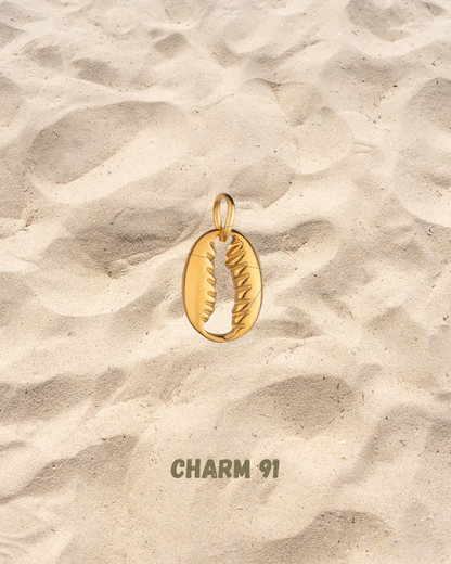 « Charms »
