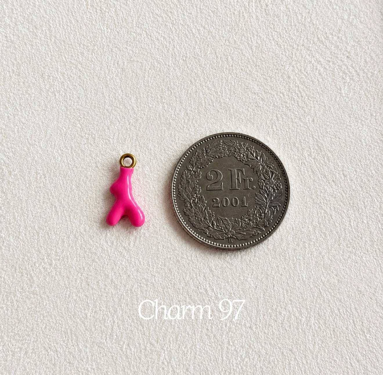 Nos charms