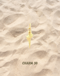 « Charms »