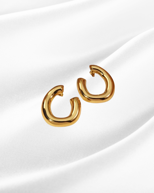 Boucles d'oreille "Gift"