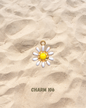 « Charms - Suite »