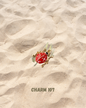 « Charms - Suite »